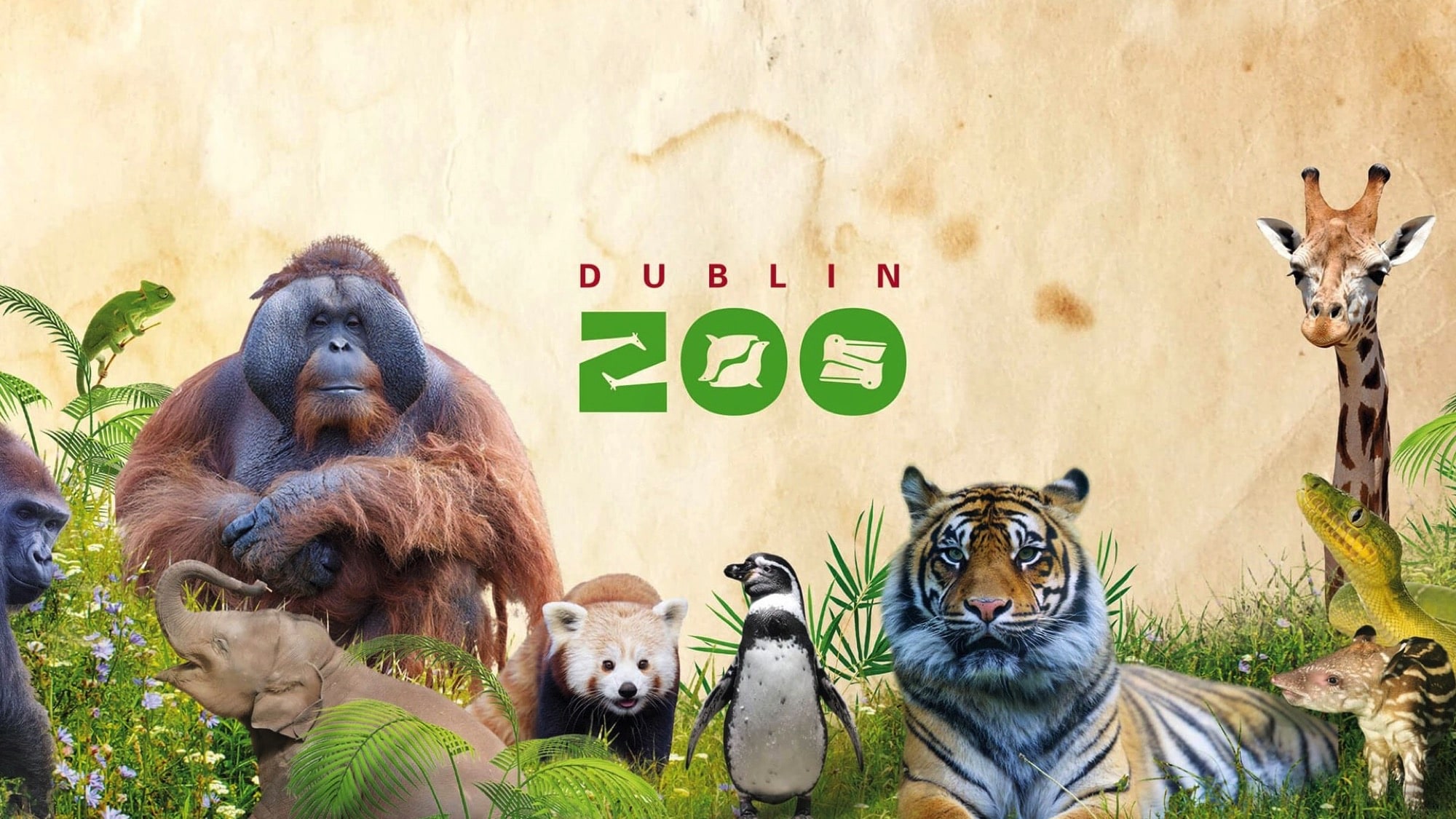 Dublin Zoo Hero Image