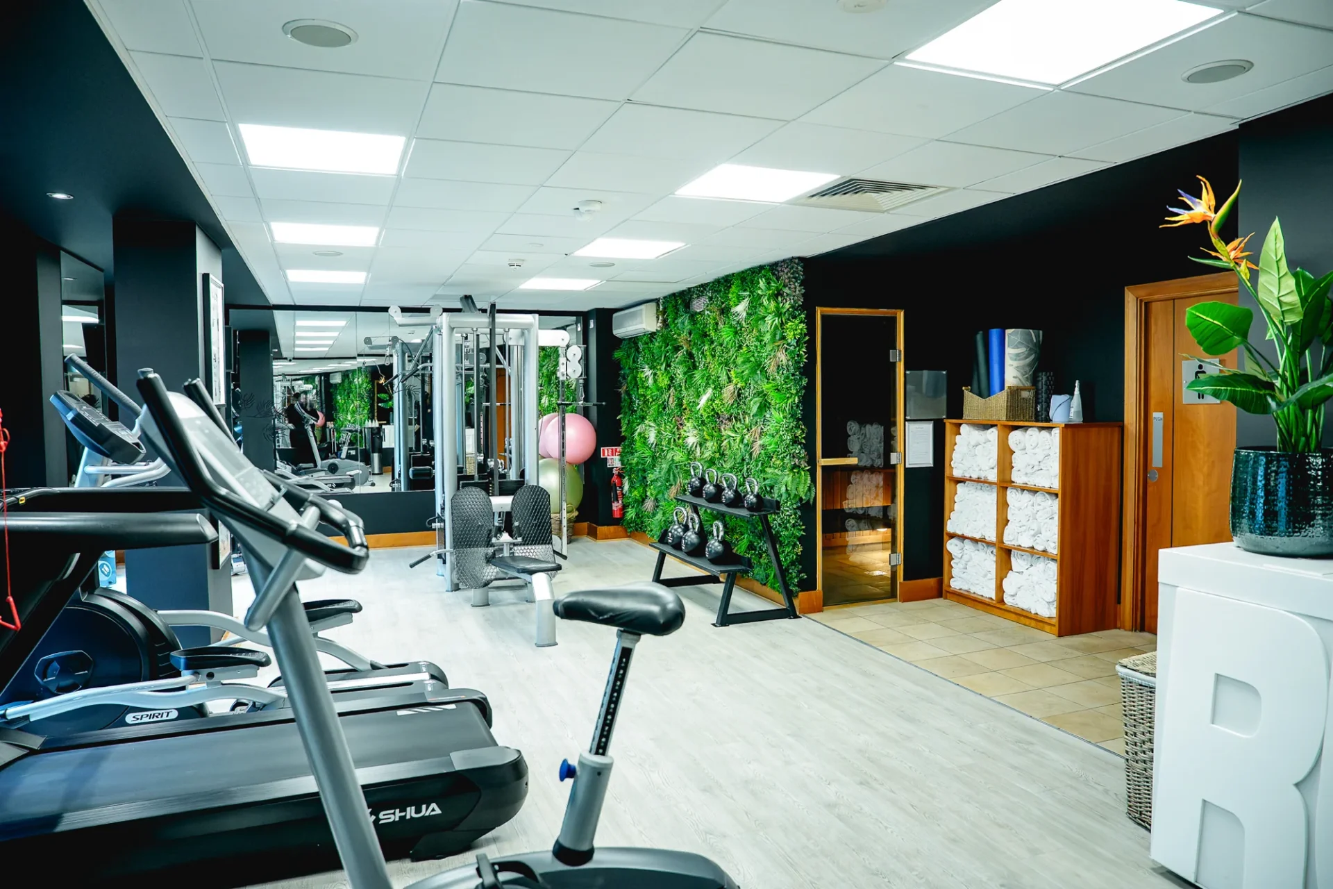 Gym Hero Image